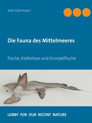 cover image of Fische, Kieferlose und Knorpelfische